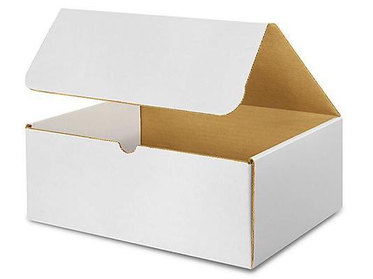 12 1 / 8 x 9 1 / 4 x 5 White Literature Mailers