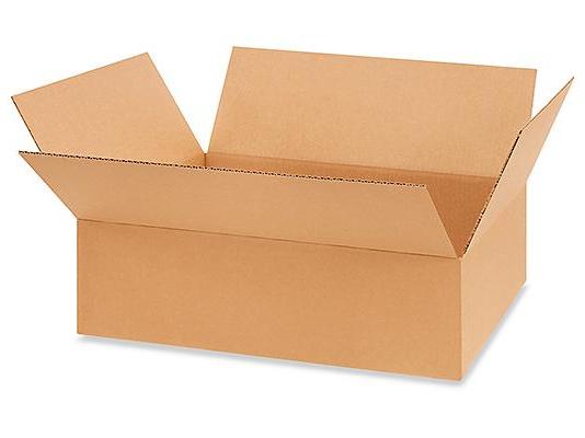 21 3 / 8 x 15 5 / 8 x 6 3 / 8 Corrugated Garment Boxes
