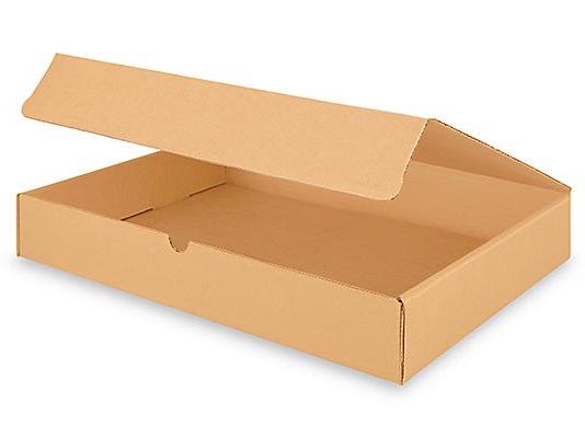 17 x 11 x 2 1 / 2 Kraft Literature Mailers