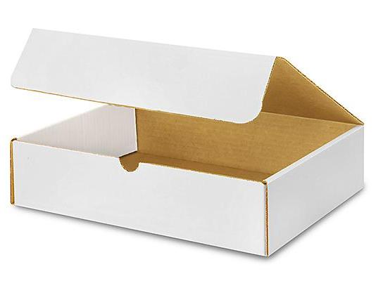 12 1 / 8 x 9 1 / 4 x 3 White Literature Mailers