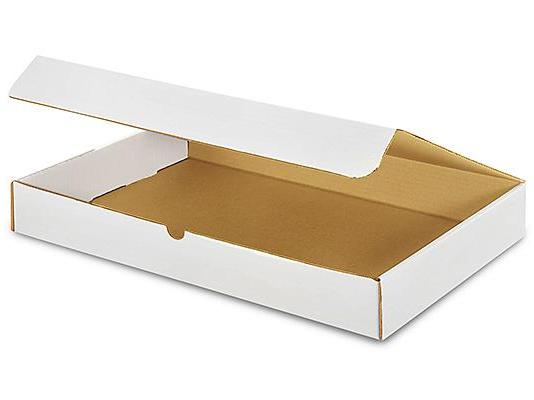 19 x 12 x 2 1 / 2 White Literature Mailers
