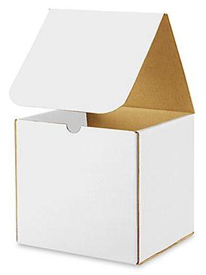 8 x 8 x 8 White Indestructo Mailers