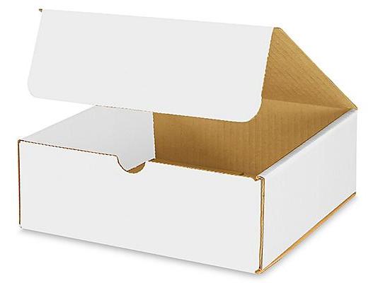 8 x 8 x 3 White Indestructo Mailers