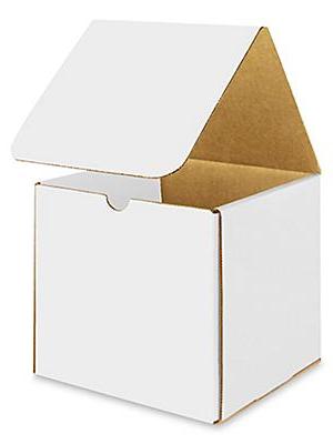 7 x 7 x 7 White Indestructo Mailers