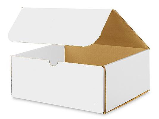 10 x 8 x 4 White Indestructo Mailers