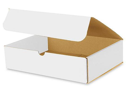 12 x 9 x 3 White Indestructo Mailers